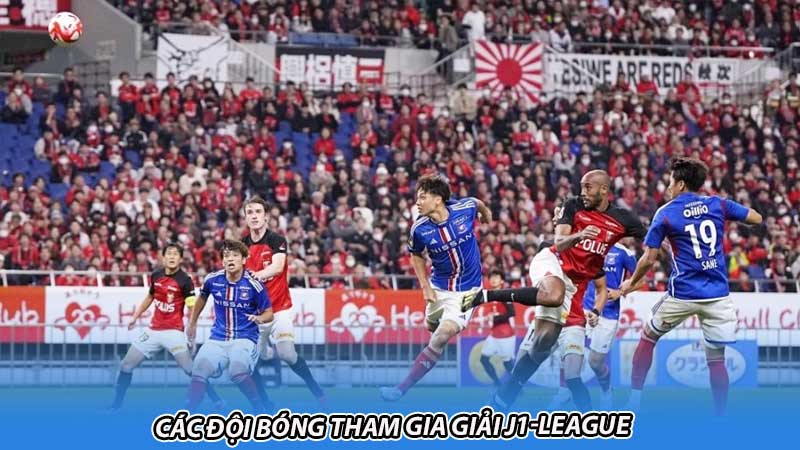 Các đội bóng tham gia giải J1-League